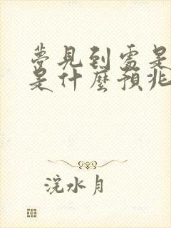 梦见到处是大便是什么预兆解梦