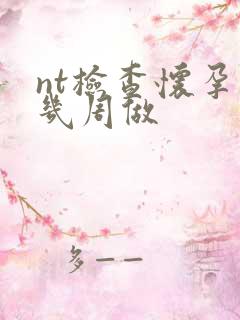 nt检查怀孕第几周做