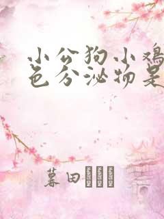 小公狗小鸡有白色分泌物是怎么回事