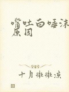 嘴吐白唾沫什么原因