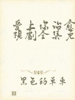 爱上你治愈我电视剧全集免费观看