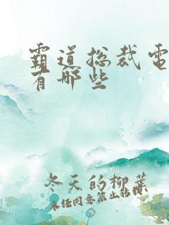 霸道总裁电视剧有哪些