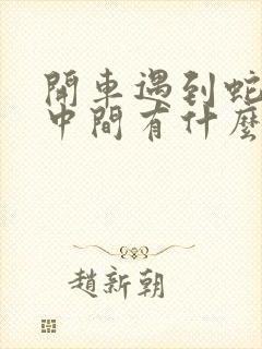 开车遇到蛇在路中间有什么兆头