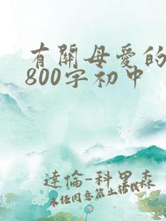 有关母爱的作文800字初中