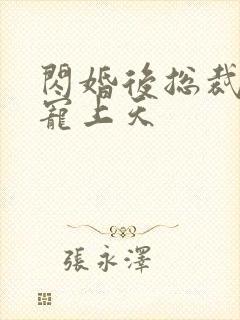 闪婚后总裁把她宠上天