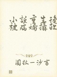 小说重生后,我被病娇摄政王缠上了txt下载