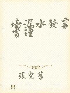 墙漏水发霉怎么处理