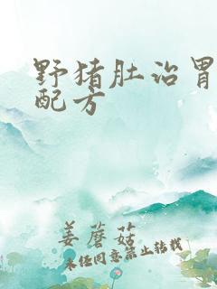 野猪肚治胃病的配方