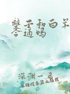 双子和白羊配对合适吗