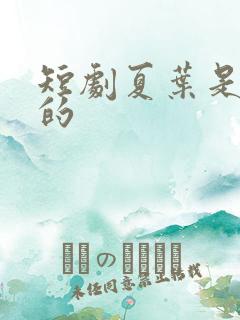 短剧夏叶是谁演的