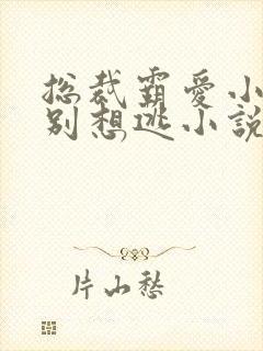 总裁霸爱小娇妻别想逃小说