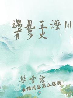 遇见王沥川当年有多火