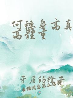 何穗身高真实身高体重