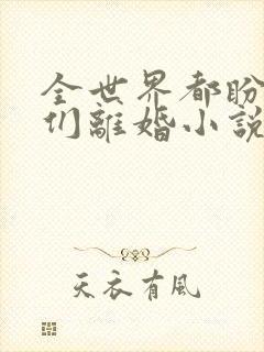 全世界都盼着我们离婚小说免费阅读