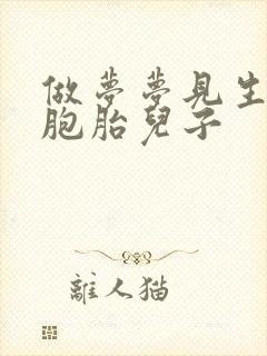 做梦梦见生了双胞胎儿子