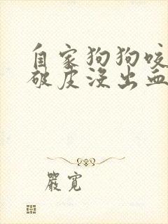 自家狗狗咬了没破皮没出血怎么办