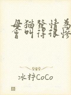 母猫发情为什么会叫得很惨