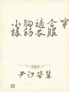 小胸适合穿什么样的衣服