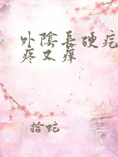 外阴长硬疙瘩又疼又痒