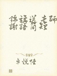 锦旗送老师的感谢语简短