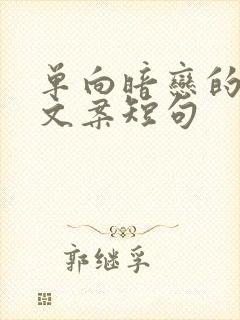 单向暗恋的遗憾文案短句