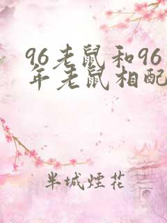 96老鼠和96年老鼠相配吗