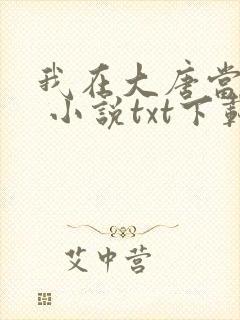 我在大唐当驸马 小说txt下载