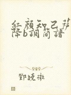 红颜知己萨克斯降b调简谱