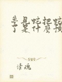 梦见蛇把蛇杀死了是什么预兆