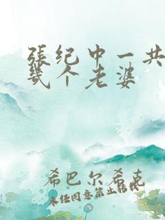 张纪中一共娶了几个老婆