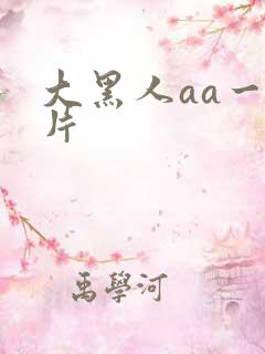 大黑人aa一级片
