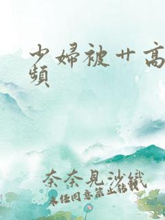 少妇被艹高潮视频