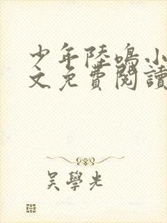 少年陆鸣小说全文免费阅读