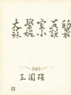 大学室友的女友苏婉小说最新章节