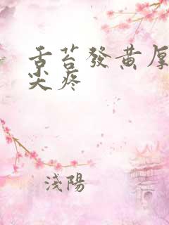 舌苔发黄厚腻舌尖疼