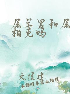 属羊男和属龙女相克吗