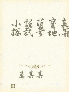 小说萌宝来袭:总裁爹地,宠上天