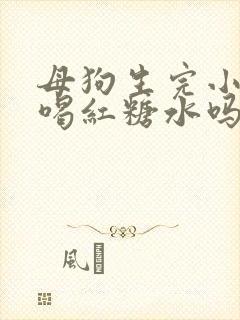 母狗生完小狗能喝红糖水吗