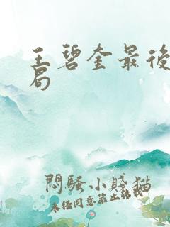 王碧奎最后的结局