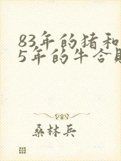 83年的猪和85年的牛合财吗