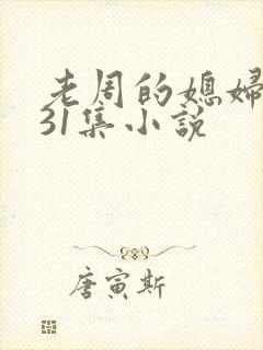 老周的媳妇赵青31集小说