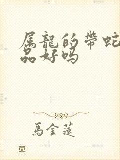 属龙的带蛇的饰品好吗