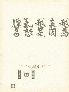 脾气越来越暴躁易怒是因为什么原因导致的