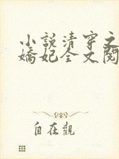 小说清穿之太子娇妃全文阅读