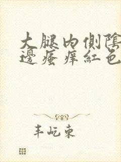 大腿内侧阴囊两边瘙痒红色一片