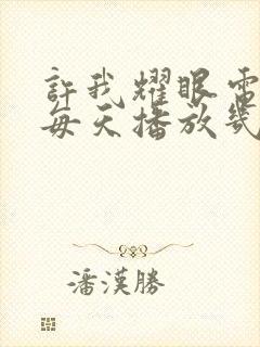 许我耀眼电视剧每天播放几集