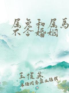 属兔和属马的合不合婚姻