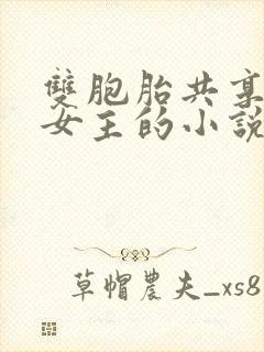 双胞胎共享一个女主的小说