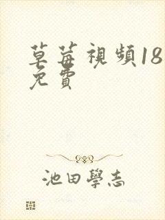 草莓视频18禁免费