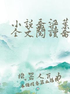 小说乔梁叶心仪全文阅读乔